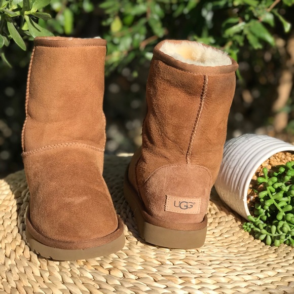 UGG Shoes - UGG II🍂Classic short women’s Sz 7